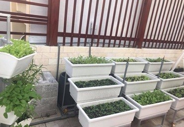 Quang Anh – nhà phân phối phụ kiện vườn trên mái uy tín tại Hà Nội