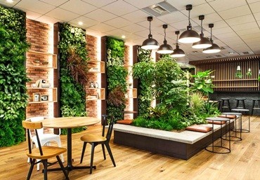 Nơi bán modul vườn tường đứng rẻ nhất – công ty Quang Anh Hà Nội