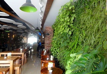 Thiết kế vườn đứng độc đáo tại quán cà phê