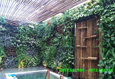 Trồng cây xanh trên tường với modul vườn đứng QA05 Quang Anh Hà Nội