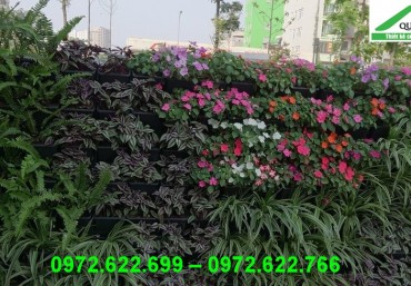 Trồng hoa đón tết 2021 với modul vườn đứng QA01 Quang Anh Hà Nội