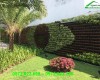 Tìm hiểu lợi ích thiết thực của vườn tường xanh