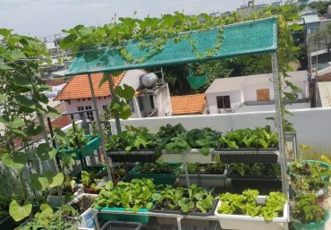 Địa chỉ mua chậu ghép trồng rau thông minh tại Hà Nội