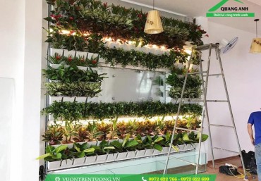 Giải pháp thiết kế vườn thẳng đứng bằng khung chậu trồng cây trên tường