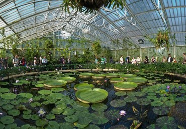 Dạo quanh vườn thực vật Kew – Hoàng Gia Anh