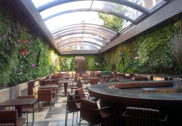 Không gian xanh mát nhờ sử dụng vườn đứng trong các nhà hàng