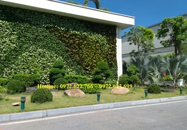 Choáng ngợp với vườn tường xanh có “1-0-2” ở Ninh Bình – công ty Quang Anh Hà Nội