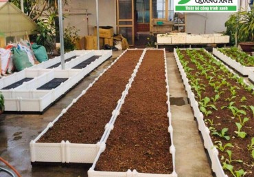 Hướng dẫn cách cải tạo đất trồng rau sạch trong chậu ghép thông minh Quang Anh