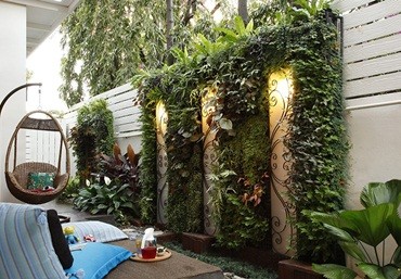 Giải pháp trồng cây trên tường hiệu quả với modul vườn đứng Quang Anh Hà Nội