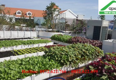 Nơi bán chậu trồng rau giá rẻ, uy tín, chất lượng tại Hà Nội