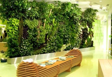 Mẫu modul vườn tường được ưa chuộng hiện nay – công ty Quang Anh Hà Nội