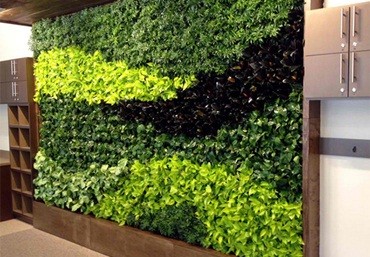 Phụ kiện vườn trên tường Quang Anh Hà Nội mang không gian xanh vào ngôi nhà của bạn