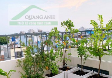Trồng cây ăn quả trên sân thượng với chậu ghép trồng rau thông minh Quang Anh Hà Nội