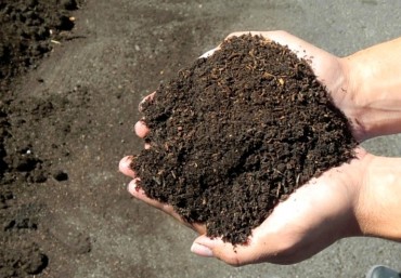 Cách cải tạo đất hiệu quả hơn với phân trùn quế