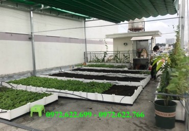 Địa chỉ mua chậu ghép trồng rau thông minh uy tín tại Hà Nội