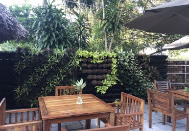 Bán modul vườn thẳng đứng giá rẻ nhất tại Hà Nội