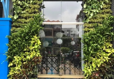 Địa chỉ mua phụ kiện vườn trên tường tốt nhất Hà Nội