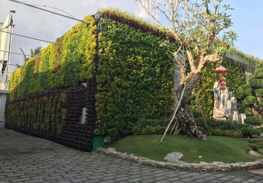 4 mẫu modul vườn tường đứng hot nhất hiện nay – công ty Quang Anh Hà Nội