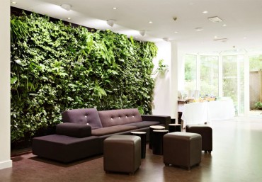 Mang không gian xanh vào ngôi nhà của bạn với modul vườn đứng Quang Anh
