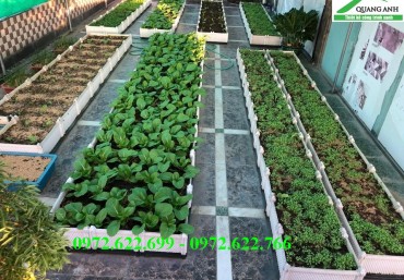 Cách sử dụng chậu ghép trồng rau thông minh Quang Anh Hà Nội