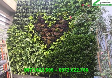 Bán chậu vườn tường, module vườn tường đứng giá rẻ nhất Hà Nội