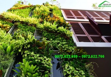 Tường cây xanh đón tết với modul vườn đứng Quang Anh Hà Nội