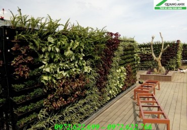 Quang Anh Hà Nội cung cấp phụ kiện vườn trên tường, vườn trên mái