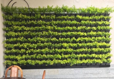 Vườn trên tường đẹp hút mắt với khung chậu trồng cây ốp tường QA01, QA02, QA05