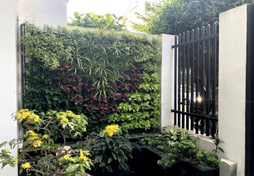 Ban công xanh tươi mát với modul vườn đứng Quang Anh Hà Nội