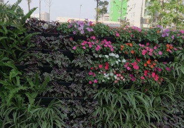 Quang Anh Hà Nội sản xuất module vườn đứng giá rẻ