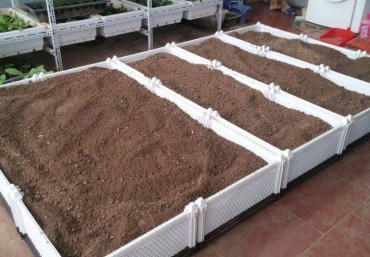 Cách cải tạo đất trồng rau sạch cho vườn trên sân thượng