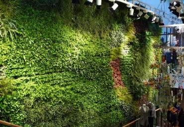 Mua modul vườn tường QA05 giá rẻ tại Hà Nội