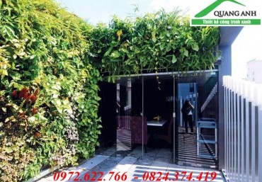 Địa chỉ mua modul vườn tường đứng giá rẻ nhất Hà Nội