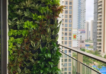 Quang Anh Hà Nội cung cấp phụ kiện vườn tường đứng giá rẻ nhất