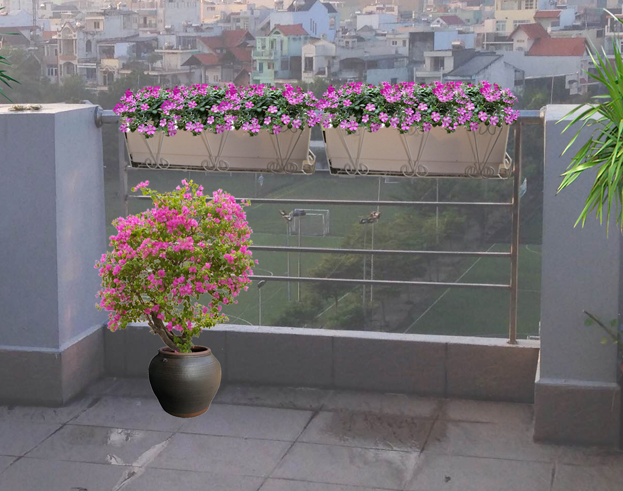 mau hoa treo lan can - Vườn Trên Tường,Vườn Trên Mái