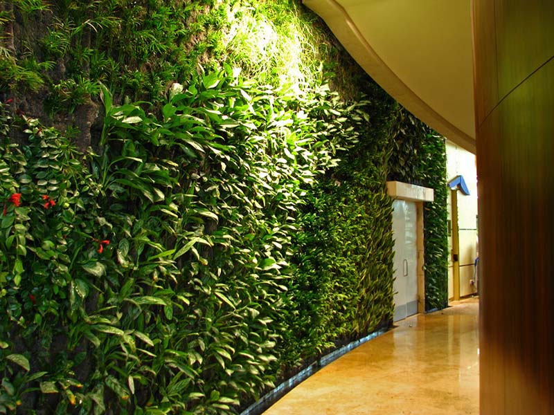 Vườn tường đứng máy điều hòa tự nhiên cho ngôi nhà của bạn