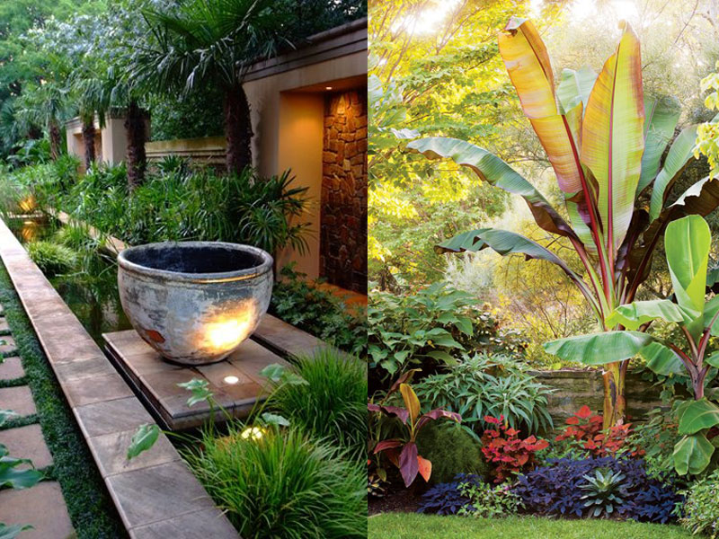 Những thiết kế sân vườn cho miền nhiệt đới